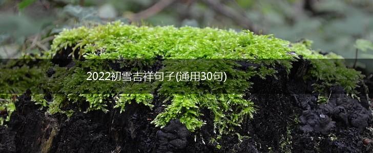 2022初雪吉祥句子(通用30句),第1张