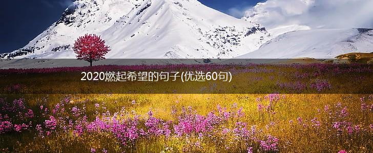 2020燃起希望的句子(优选60句),第1张