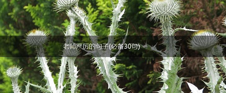 老师严厉的句子(必备30句),第1张