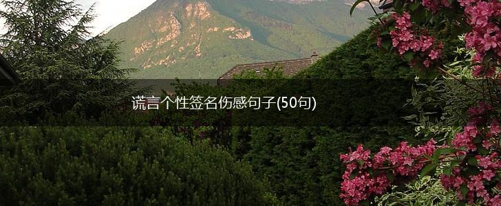 谎言个性签名伤感句子(50句),第1张