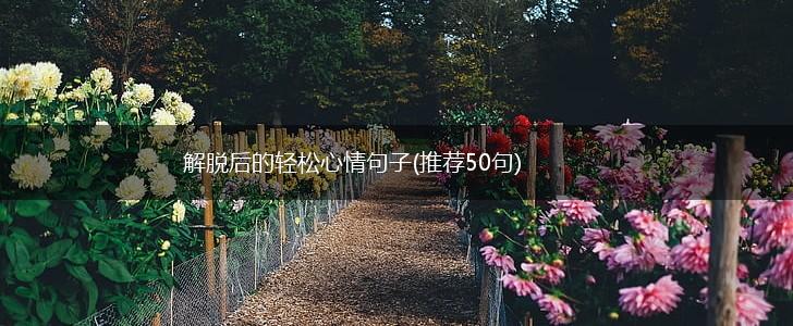 解脱后的轻松心情句子(推荐50句),第1张