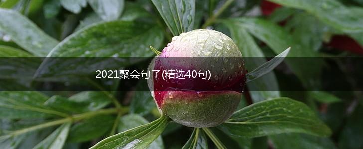 2021聚会句子(精选40句),第1张