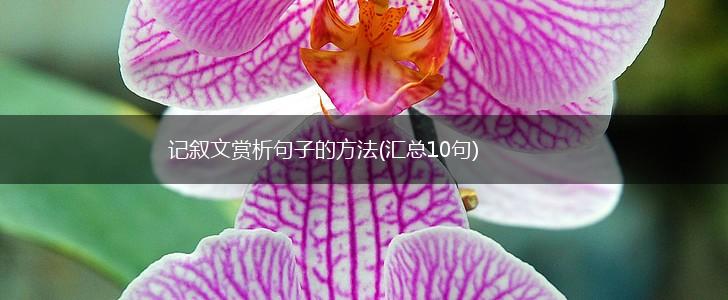 记叙文赏析句子的方法(汇总10句),第1张