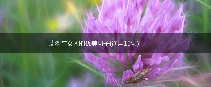 翡翠与女人的优美句子(通用10句),第1张