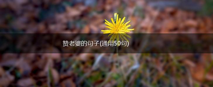 赞老婆的句子(通用50句),第1张