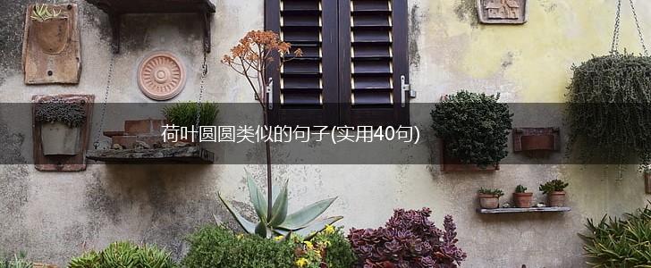 荷叶圆圆类似的句子(实用40句),第1张
