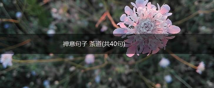 禅意句子 茶道(共40句),第1张