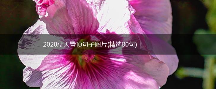 2020聊天置顶句子图片(精选80句),第1张