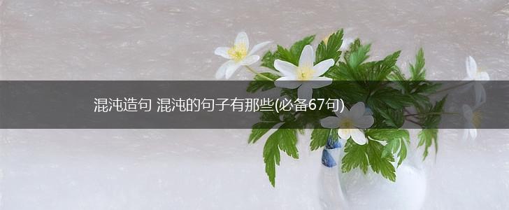 混沌造句 混沌的句子有那些(必备67句),第1张