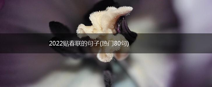 2022贴春联的句子(热门80句),第1张