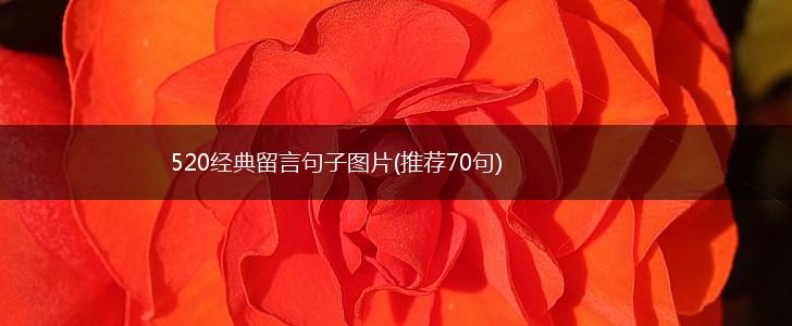 520经典留言句子图片(推荐70句),第1张