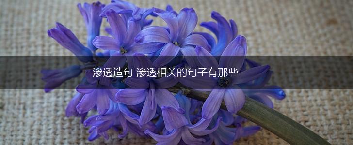 渗透造句 渗透相关的句子有那些,第1张