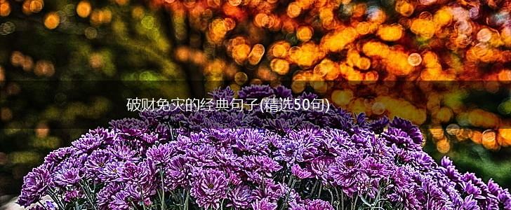 破财免灾的经典句子(精选50句),第1张
