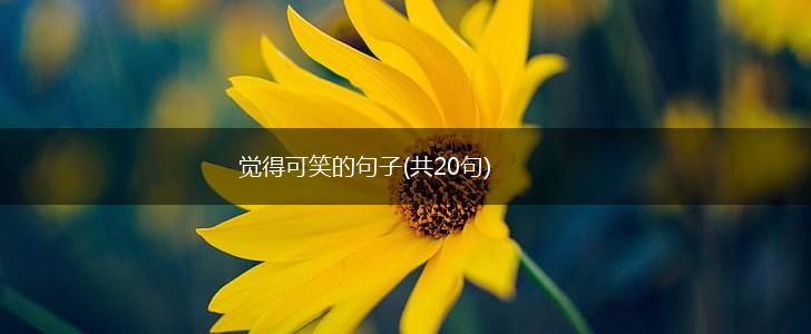 觉得可笑的句子(共20句),第1张