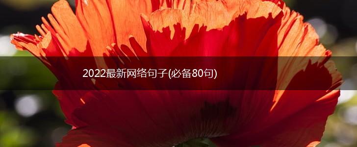 2022最新网络句子(必备80句),第1张