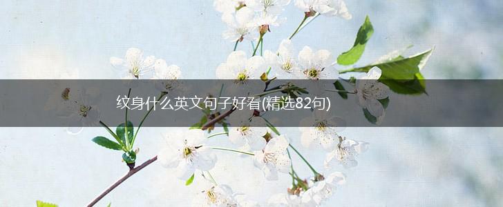 纹身什么英文句子好看(精选82句),第1张