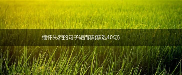 缅怀先烈的句子短而精(精选40句),第1张