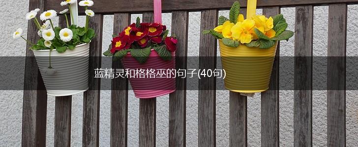 蓝精灵和格格巫的句子(40句),第1张