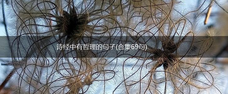 诗经中有哲理的句子(合集69句),第1张