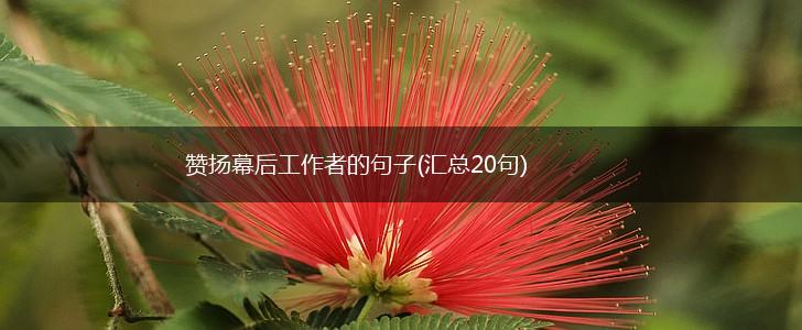 赞扬幕后工作者的句子(汇总20句),第1张
