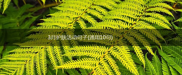 3月护肤活动句子(通用10句),第1张