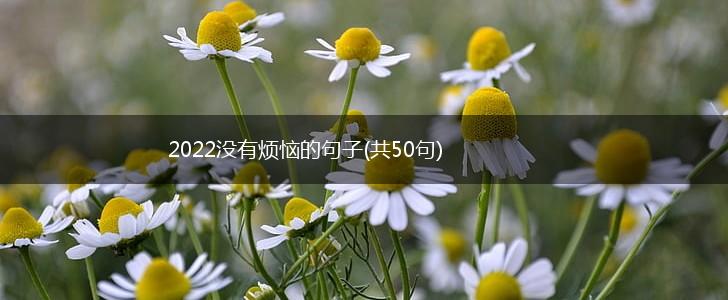 2022没有烦恼的句子(共50句),第1张