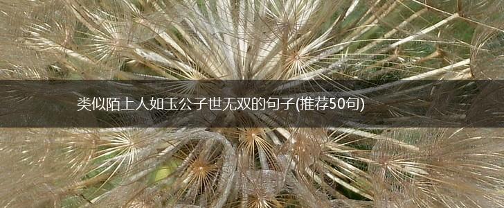 类似陌上人如玉公子世无双的句子(推荐50句),第1张