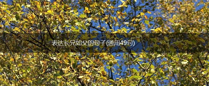 表达长兄如父的句子(通用49句),第1张