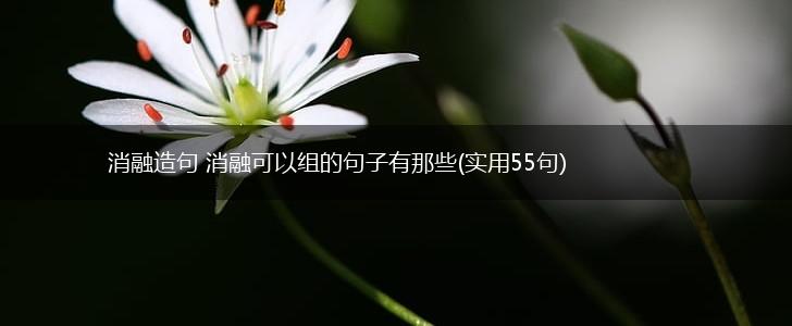消融造句 消融可以组的句子有那些(实用55句),第1张