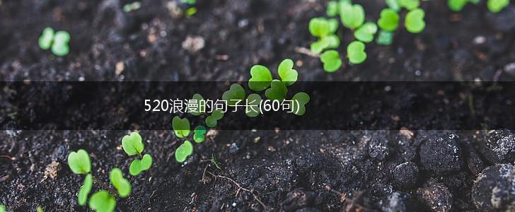 520浪漫的句子长(60句),第1张