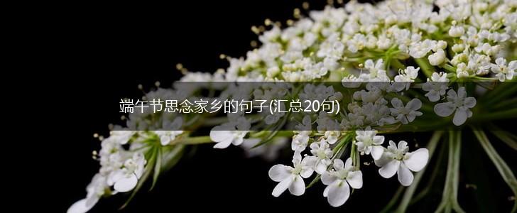 端午节思念家乡的句子(汇总20句),第1张