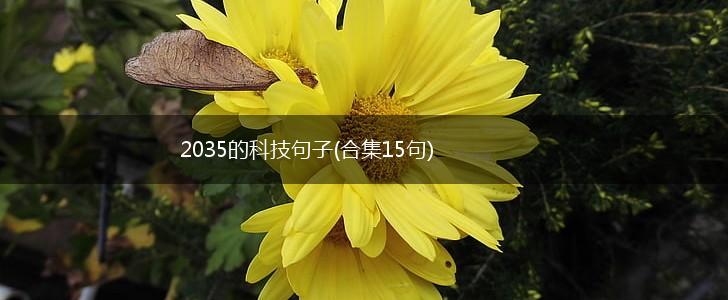 2035的科技句子(合集15句),第1张