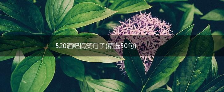 520酒吧搞笑句子(精选50句),第1张