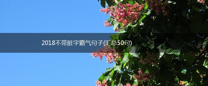 2018不带脏字霸气句子(汇总50句),第1张