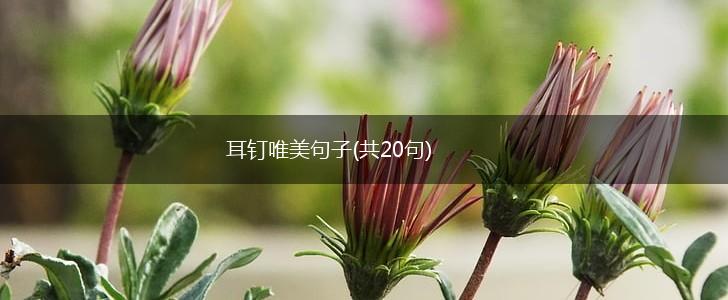 耳钉唯美句子(共20句),第1张