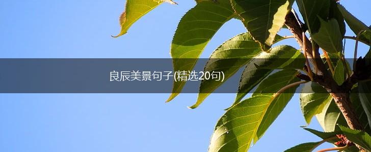 良辰美景句子(精选20句),第1张