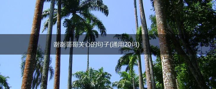 谢谢哥哥关心的句子(通用20句),第1张