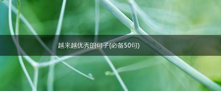 越来越优秀的句子(必备50句),第1张