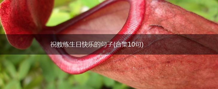 祝教练生日快乐的句子(合集10句),第1张
