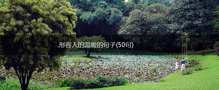 .形容人的温暖的句子(50句),第1张