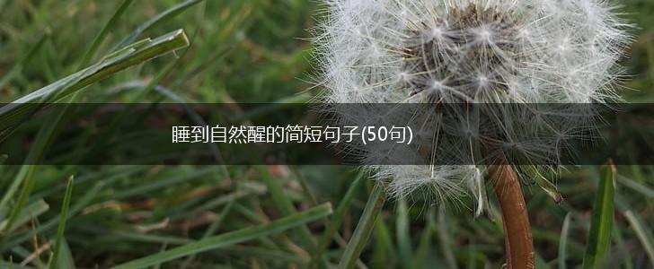 睡到自然醒的简短句子(50句),第1张