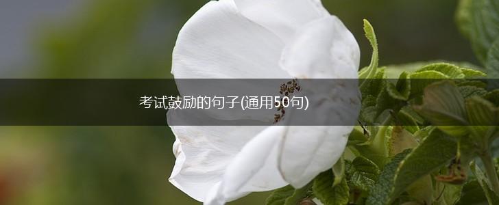 考试鼓励的句子(通用50句),第1张
