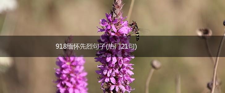 918缅怀先烈句子(热门21句),第1张
