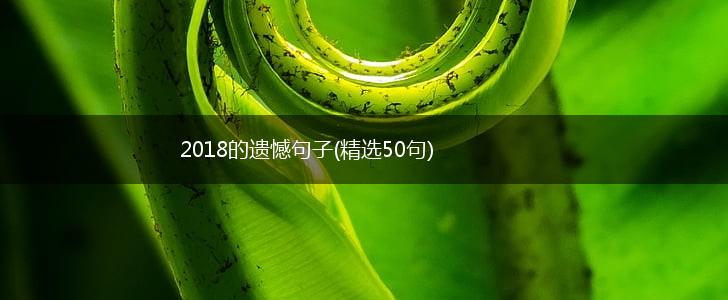 2018的遗憾句子(精选50句),第1张