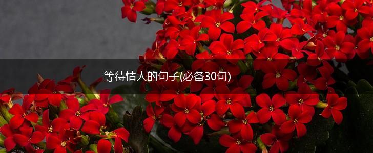等待情人的句子(必备30句),第1张