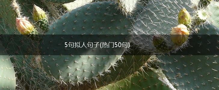 5句拟人句子(热门50句),第1张