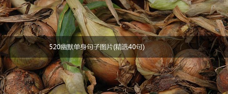 520幽默单身句子图片(精选40句),第1张