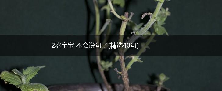 2岁宝宝 不会说句子(精选40句),第1张