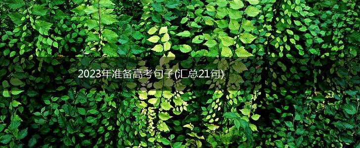 2023年准备高考句子(汇总21句),第1张