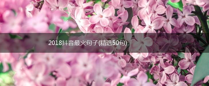 2018抖音最火句子(精选50句),第1张